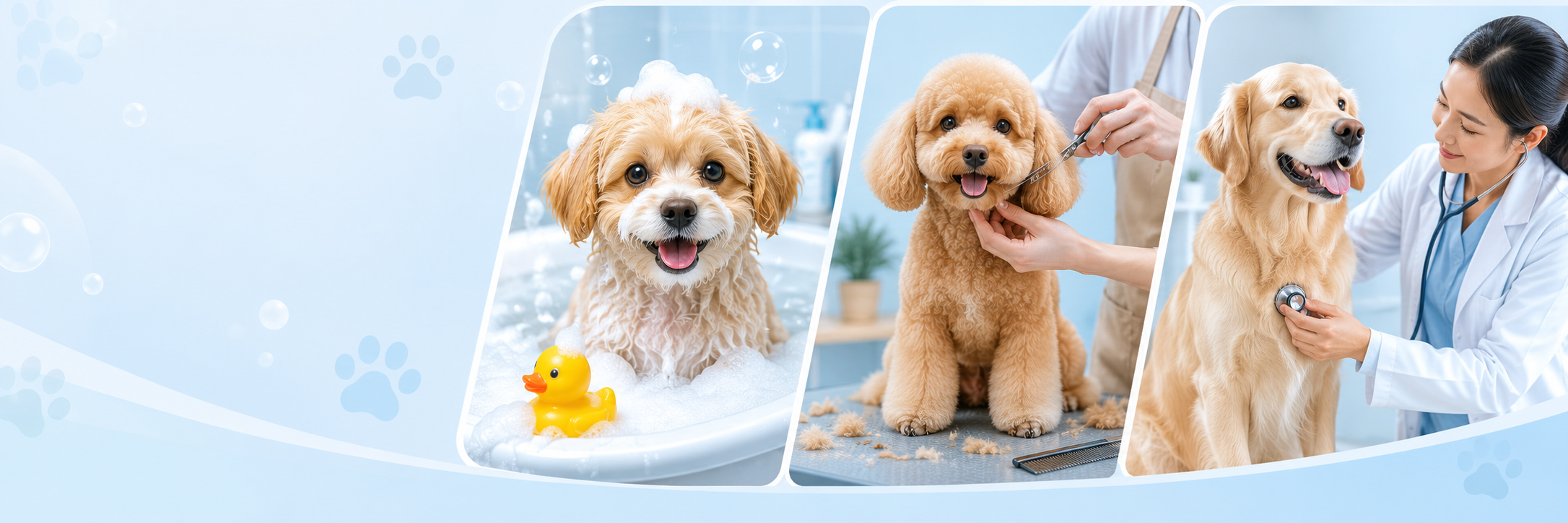 Đặt lịch chăm sóc